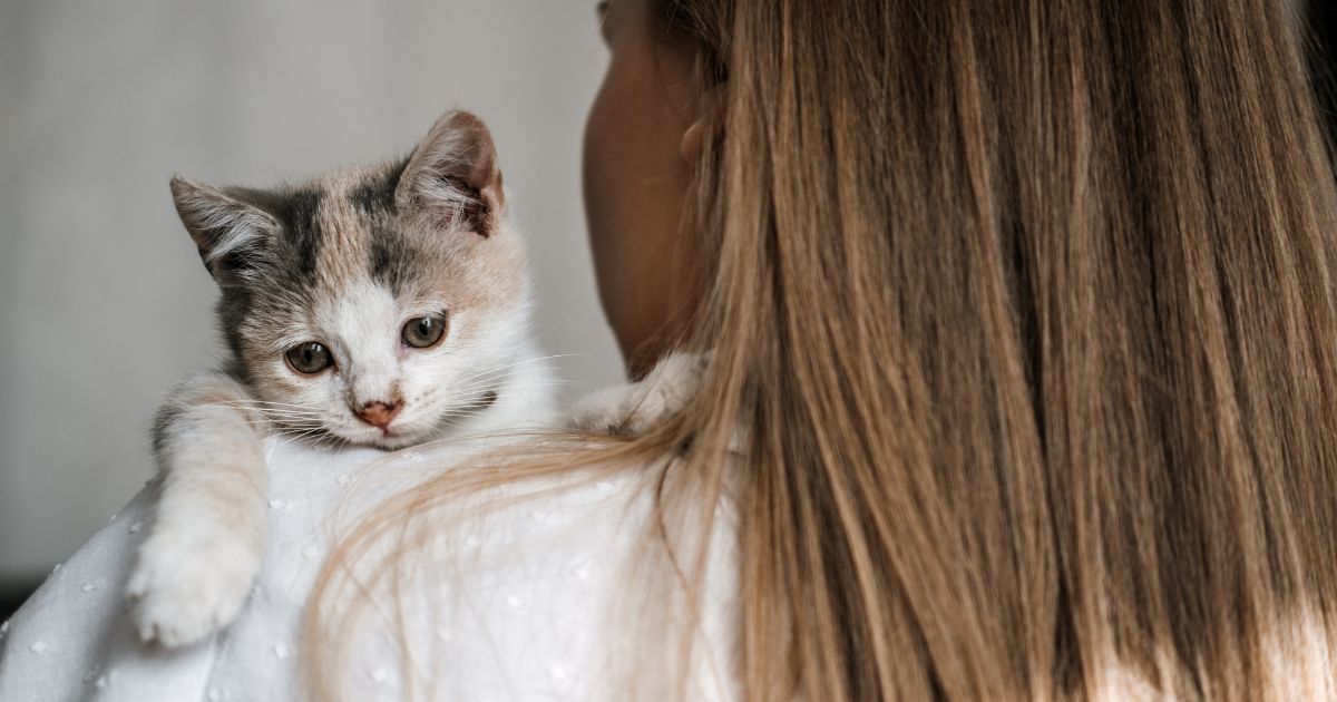 woman holding kitten