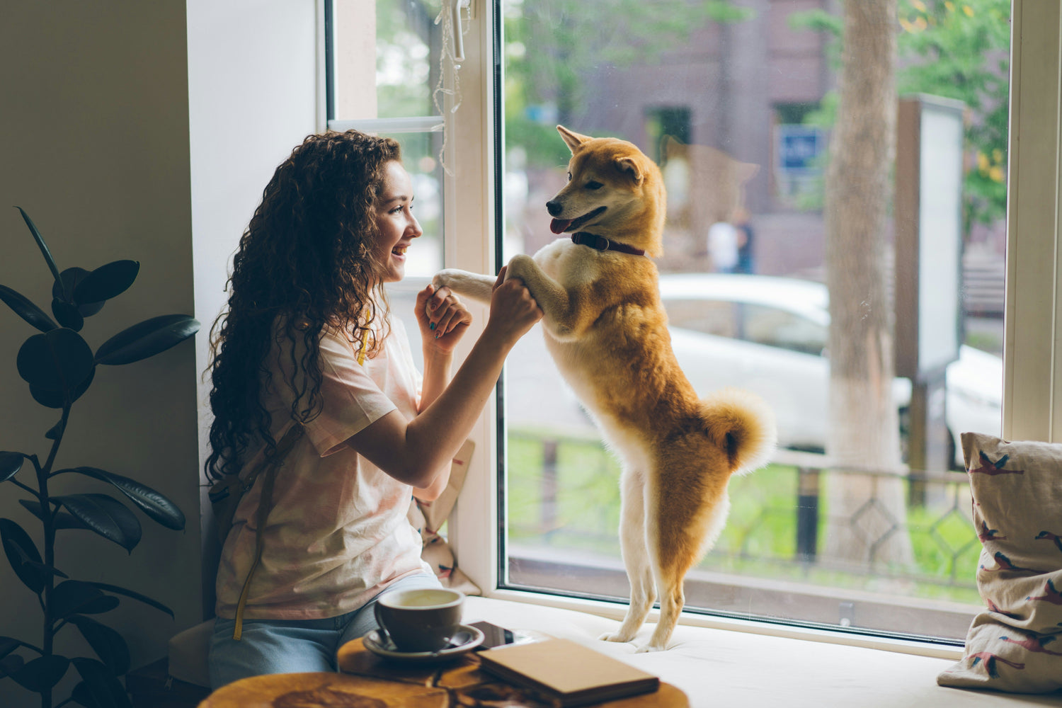 Why Pet Grief Is So Hard and What Helps