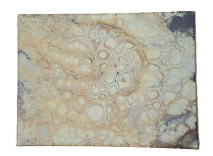 Stillbright: Handmade Acrylic Artwork  Canvas: 16”x12”